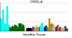 TANK-binding kinase 1